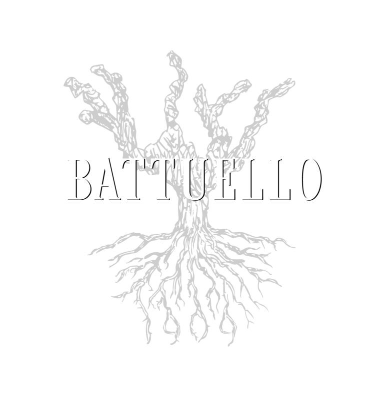 Vineyards 2018 || Cabernet Battuello Sauvignon